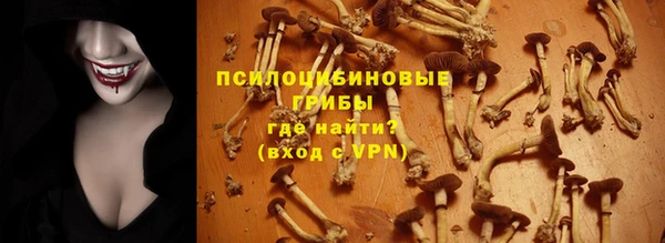 молекула духа Россошь